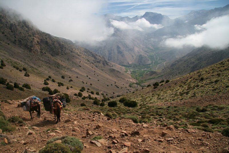 Berber villages & azzaden valley