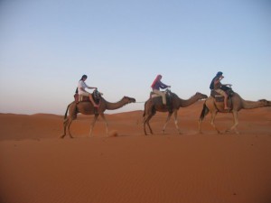 Camel Ride Merzouga