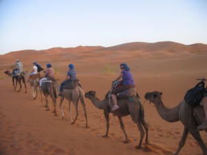 Desert Camel trek